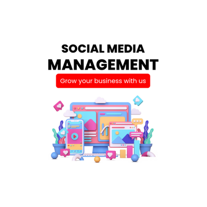 Menaxhimi i plotë i Instagramit - Paketa InstaGrowth