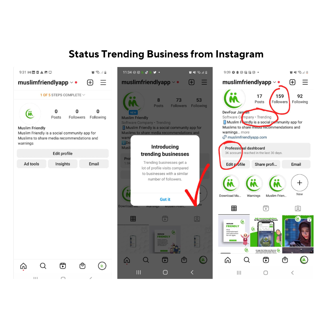 Menaxhimi i plotë i Instagramit - Paketa InstaGrowth